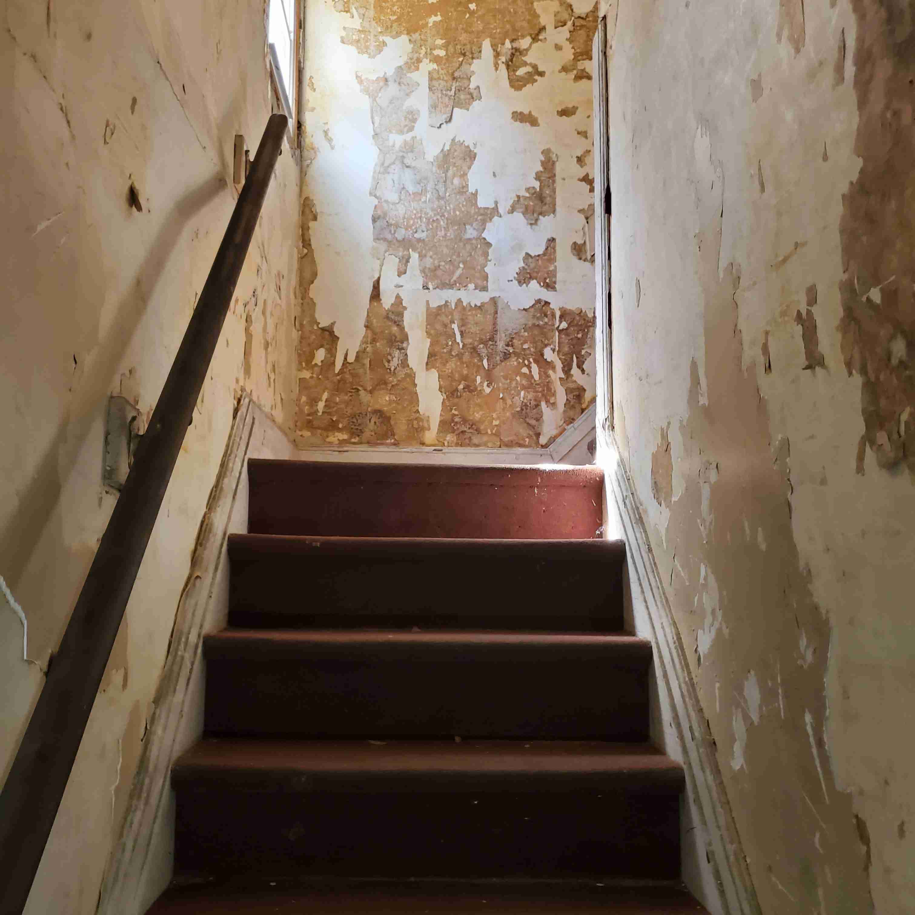 20200819_143224 (2).jpg